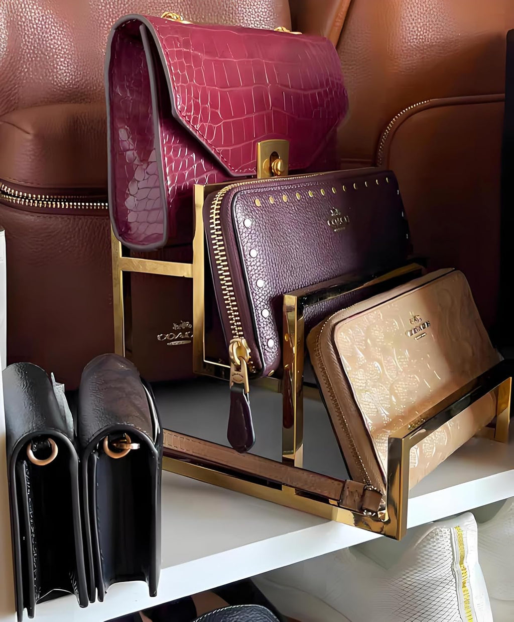 Polished 3-Layer Wallet Display